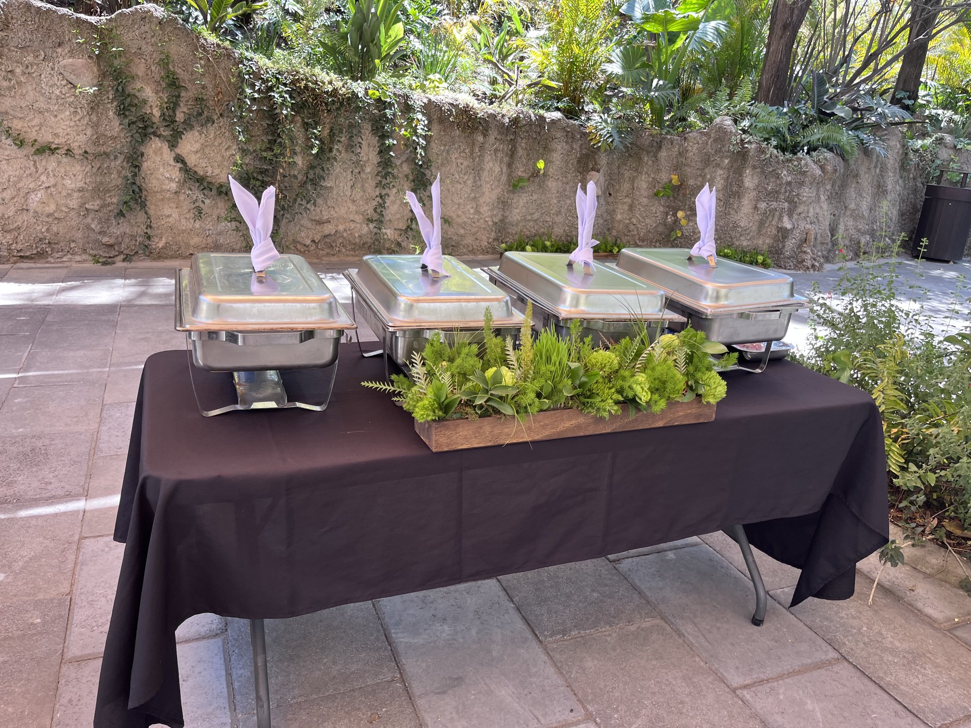 Buffet con plantas